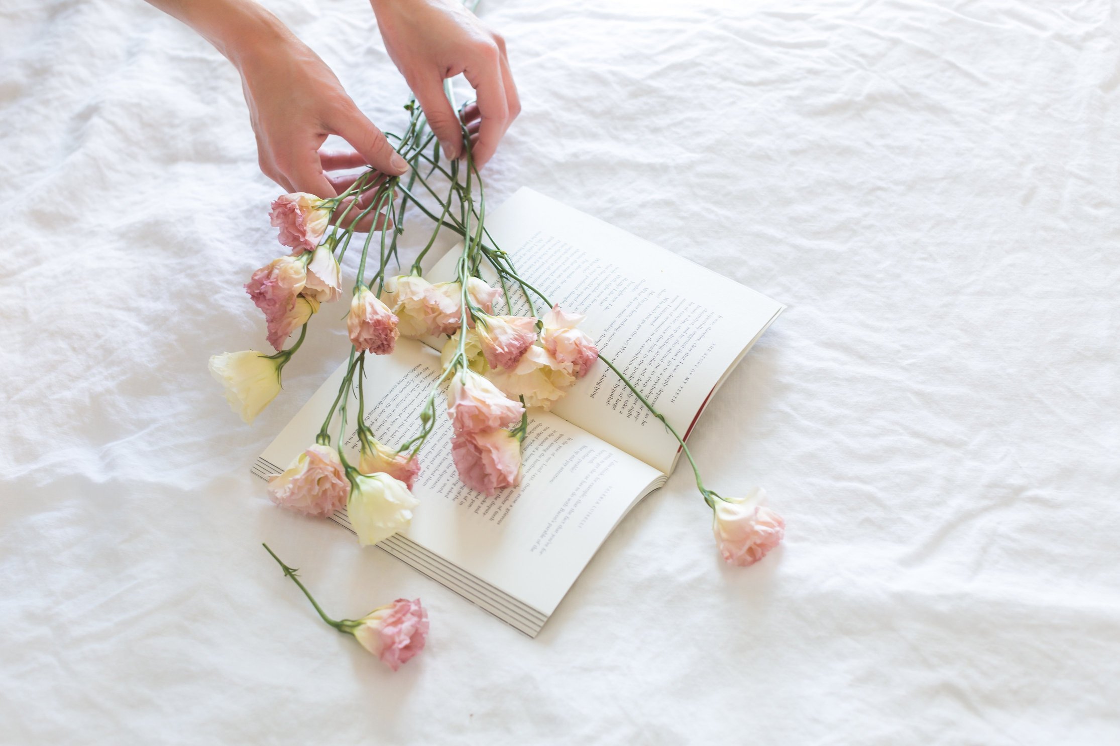 Pink-and-white Rose Flowers on White Printer Book