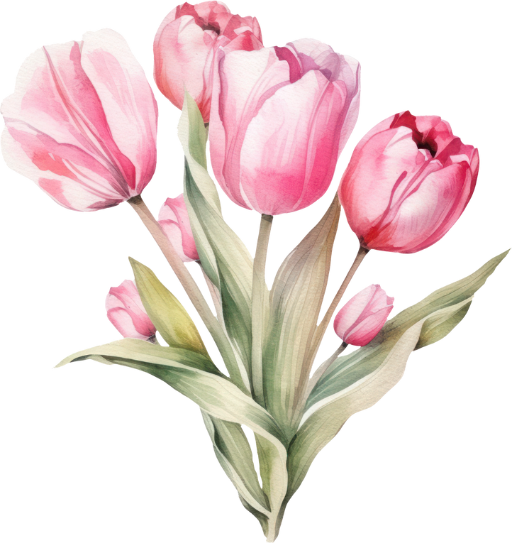 Pink Tulip Bouquet Flowers Watercolor